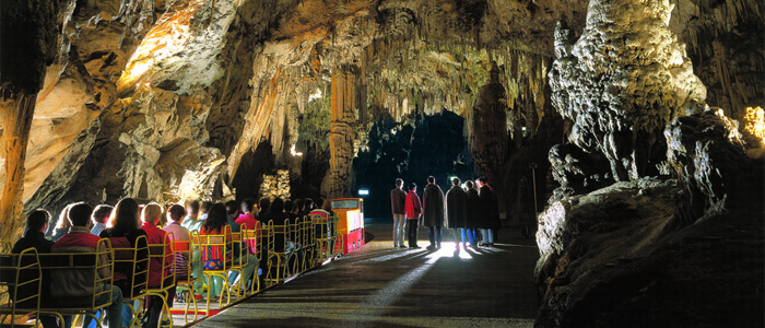 Экскурсия в Постойную пещеру и Липицу